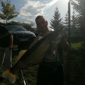 Driver812012