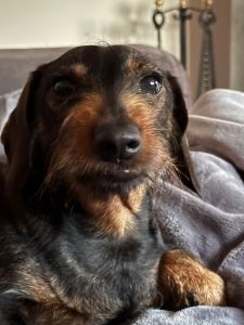 Profilbild