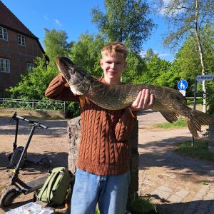 Profilbild
