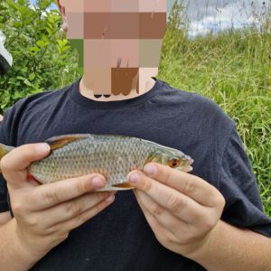 Profilbild