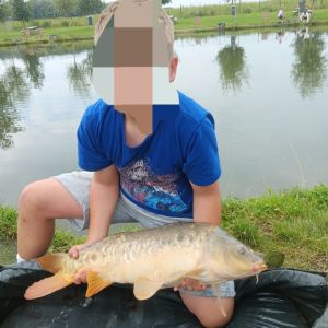 Profilbild