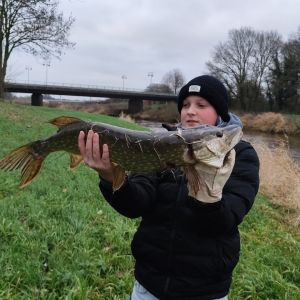 Profilbild