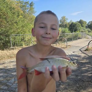Profilbild