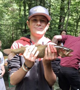 Profilbild