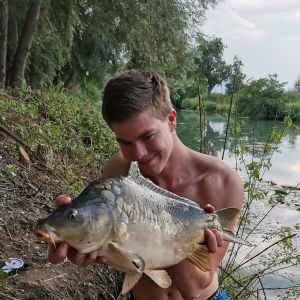 Profilbild