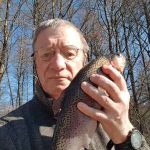 Profilbild