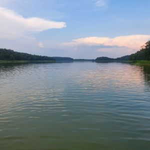 Kammar