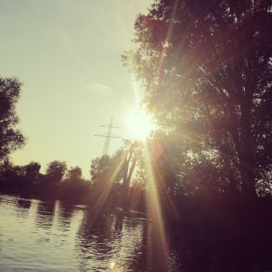 Profilbild