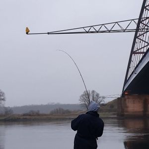 Polterstein007