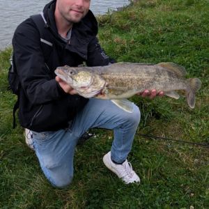 NOK_OUT_NEVER_Schneider