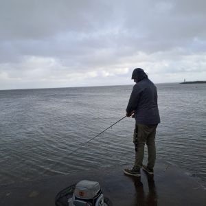 Profilbild