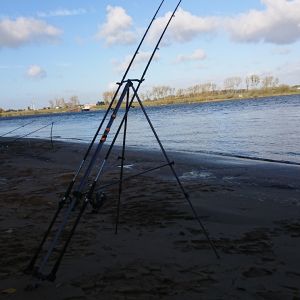 Liefer 7