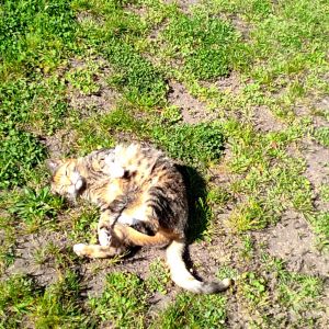 Profilbild