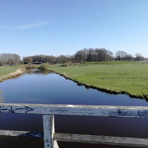 Henning.R