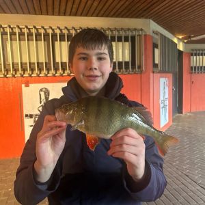 Profilbild