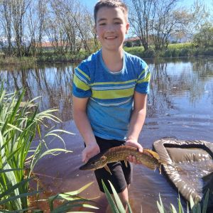 Profilbild