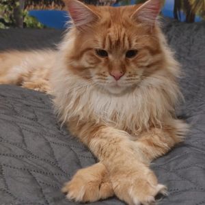 Profilbild