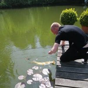 Profilbild
