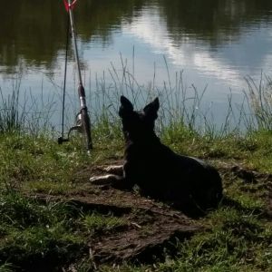 Profilbild