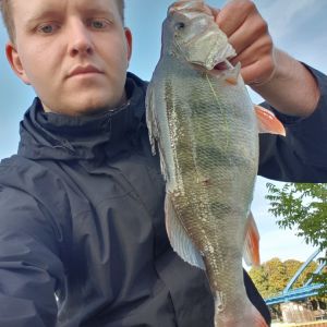 Krüger_32