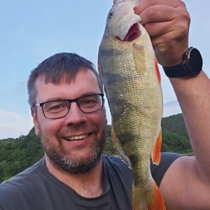 Profilbild