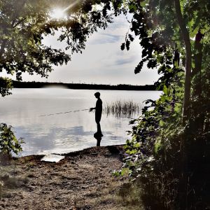 Profilbild