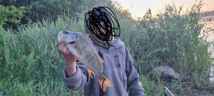 Profilbild