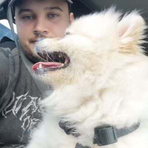 Profilbild