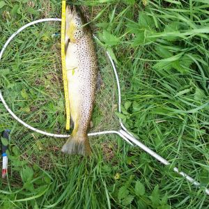 MoritzAngler