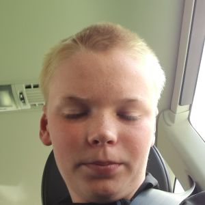 Profilbild