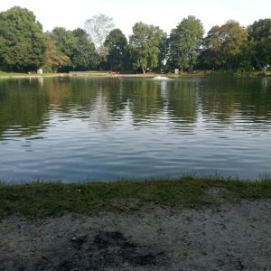 Forellenteich Timmel ALLE ANGELN