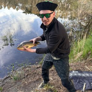 Profilbild