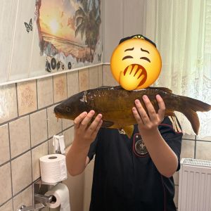 Profilbild