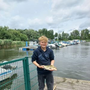 Profilbild