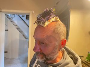 Profilbild