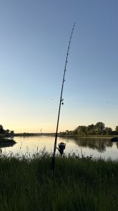 pAusVanDerE