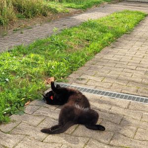 Profilbild