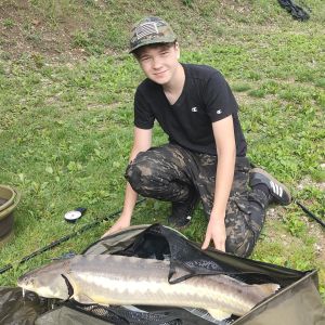 Profilbild