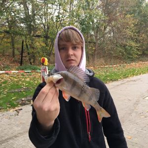 fynn jakob
