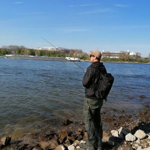 Profilbild
