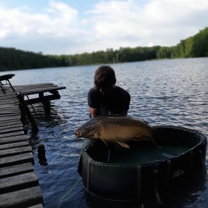 Profilbild