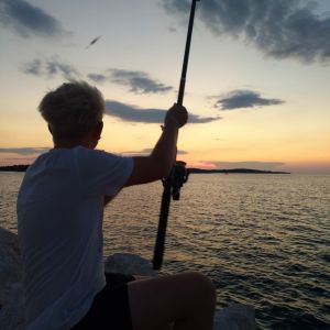 Profilbild