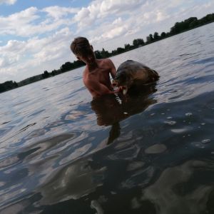 Profilbild