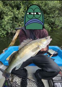 Profilbild