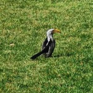 Profilbild