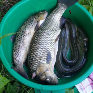 Profilbild
