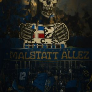 Profilbild