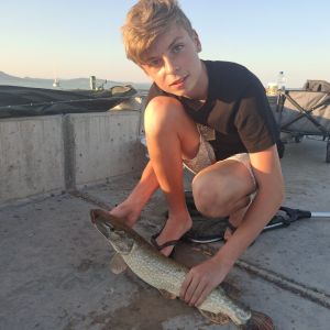Profilbild