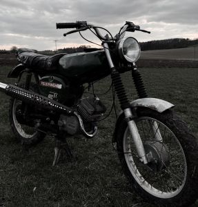 Profilbild