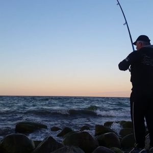 Profilbild